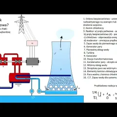 Jak działa elektrownia atomowa? Wyjaśniamy krok po kroku