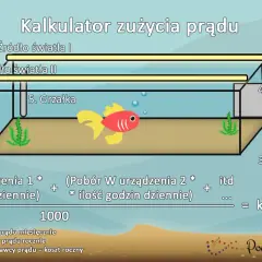 Koszt akwarium 112l: Ile prądu zużywa? Oblicz i oszczędzaj!