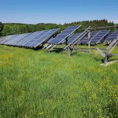 Panele fotowoltaiczne na łące pełnej żółtych kwiatów. Czy to przyszłość energetyki? OZE co to?