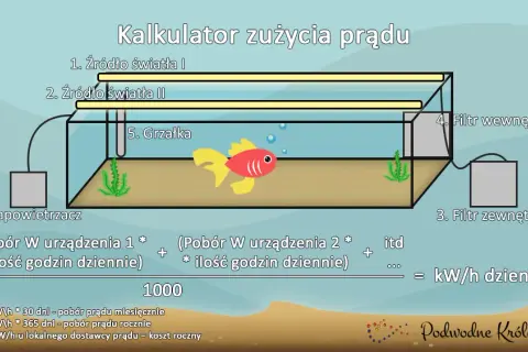 Koszt akwarium 112l: Ile prądu zużywa? Oblicz i oszczędzaj!