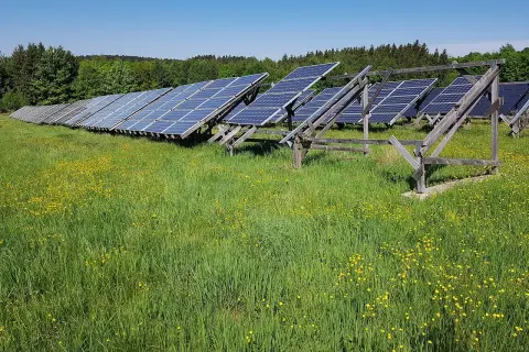 Panele fotowoltaiczne na łące pełnej żółtych kwiatów. Czy to przyszłość energetyki? OZE co to?