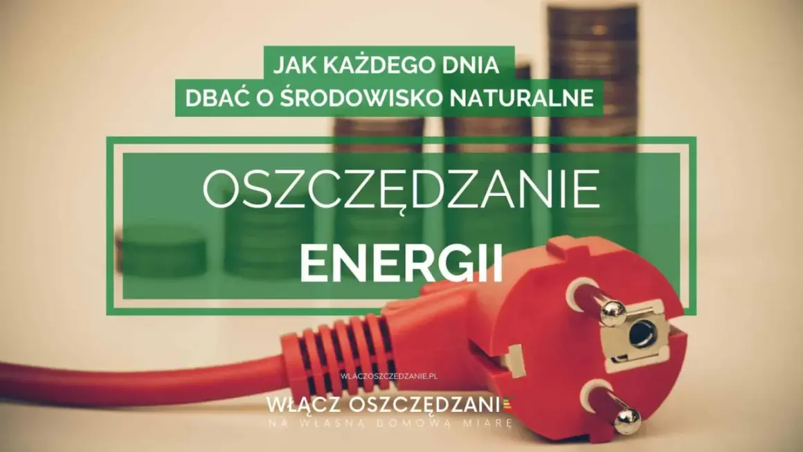 Oszczędzanie energii to klucz do ochrony środowiska. Wszyscy dostawcy prądu w Polsce zachęcają do tego. Czerwona wtyczka symbolizuje energię.