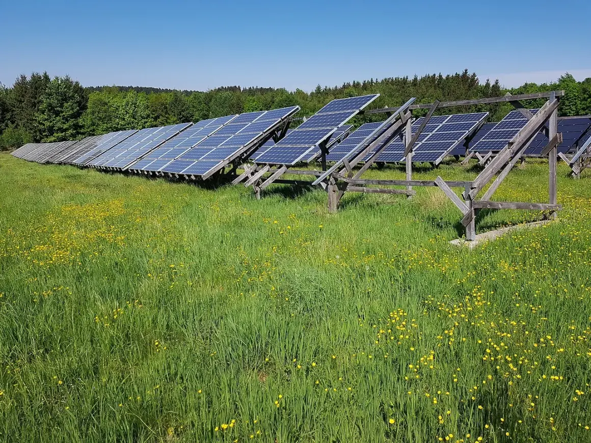 Panele fotowoltaiczne na łące pełnej żółtych kwiatów. Czy to przyszłość energetyki? OZE co to?
